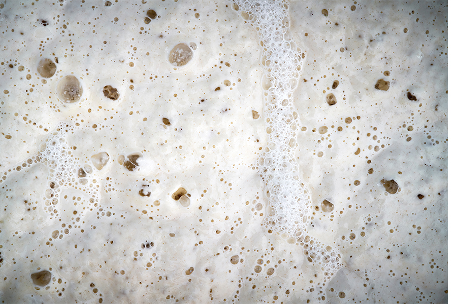 Making Pizza with Sourdough